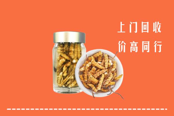 盐城回收冬虫夏草